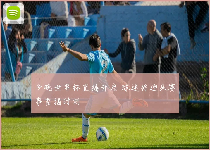 今晚世界杯直播开启 球迷将迎来赛事首播时刻