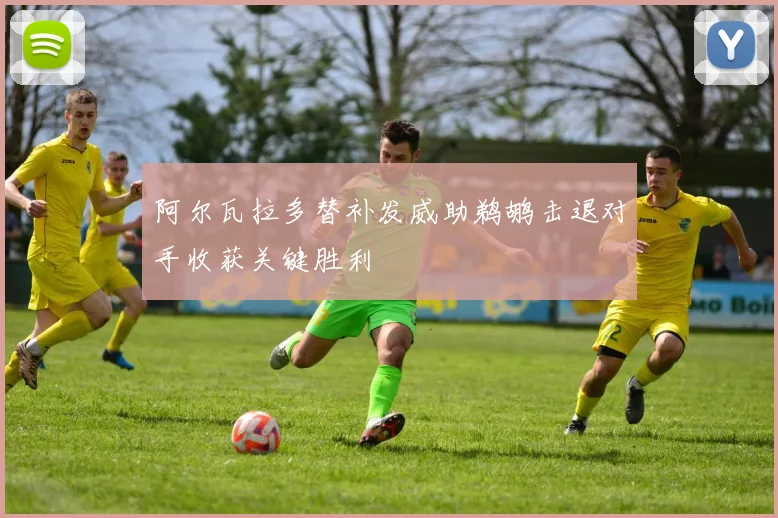 阿尔瓦拉多替补发威助鹈鹕击退对手收获关键胜利